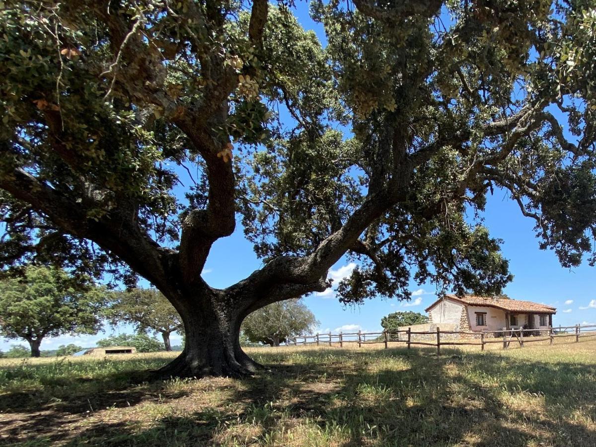 Eco-Lodge En La Reserva Privada Campanarios De Azaba - Proyecto De Conservacion Эспеха Экстерьер фото