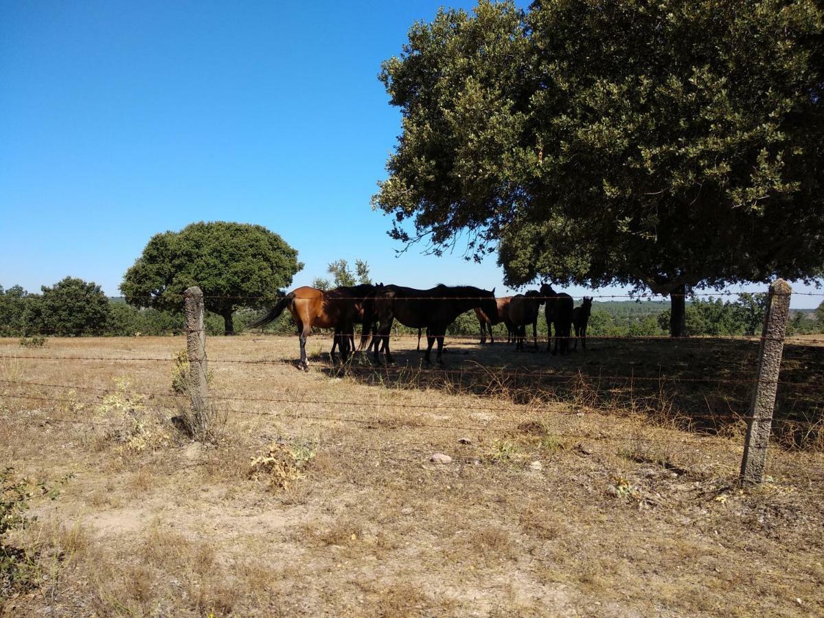 Eco-Lodge En La Reserva Privada Campanarios De Azaba - Proyecto De Conservacion Эспеха Экстерьер фото