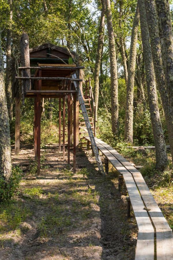 Eco-Lodge En La Reserva Privada Campanarios De Azaba - Proyecto De Conservacion Эспеха Экстерьер фото