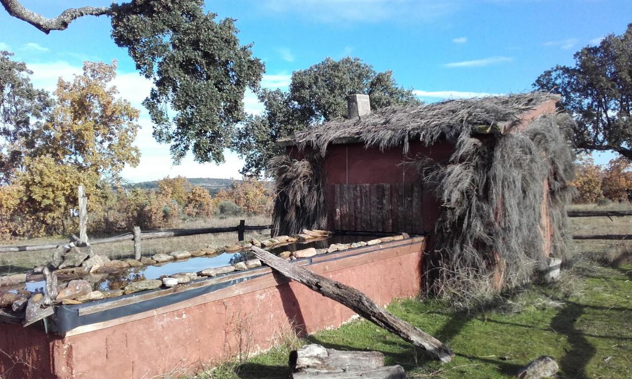 Eco-Lodge En La Reserva Privada Campanarios De Azaba - Proyecto De Conservacion Эспеха Экстерьер фото